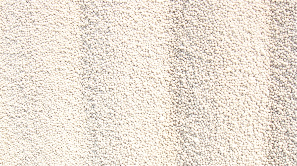 ������P���